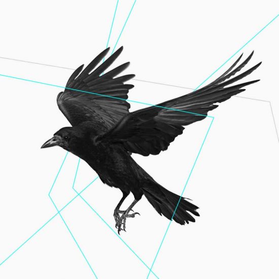 prize photography thumbnail