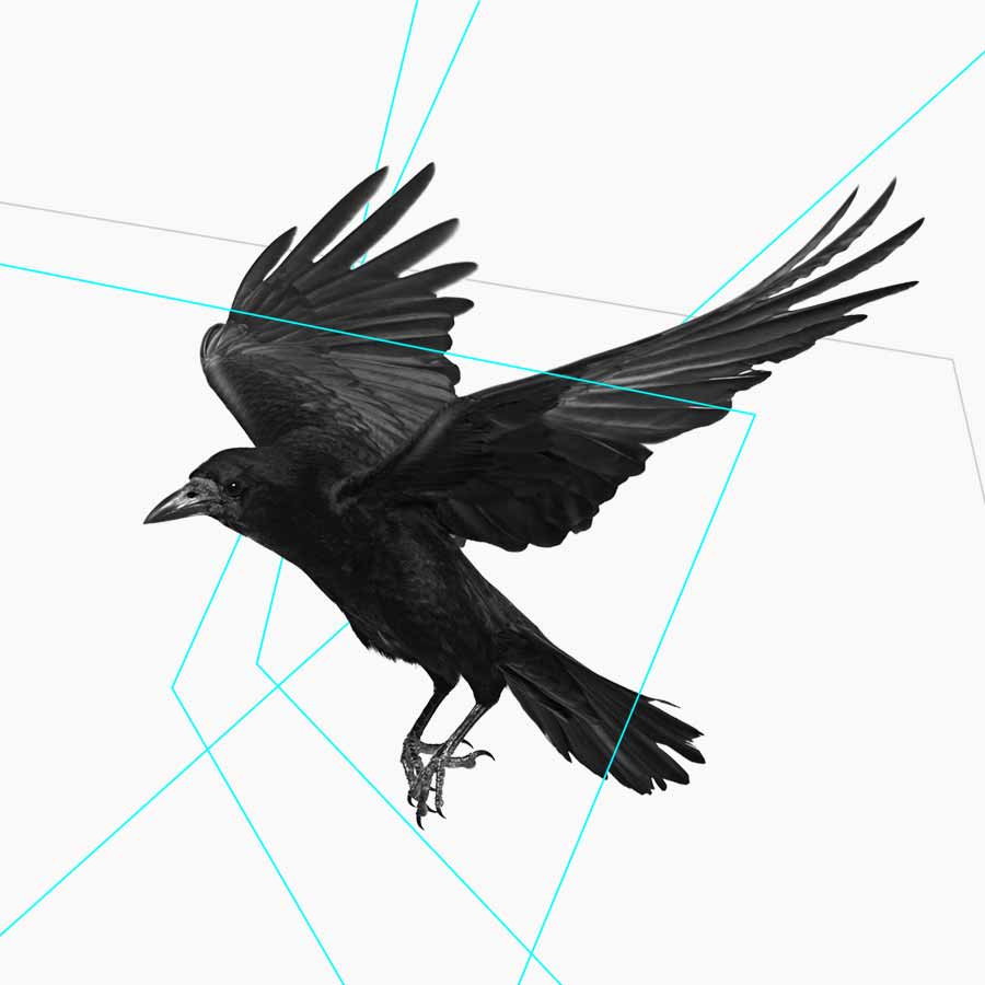 prize photography thumbnail